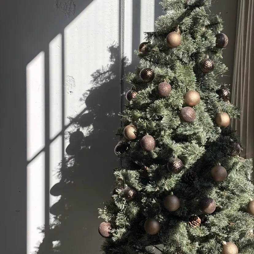 TRENCH chikaの掲載