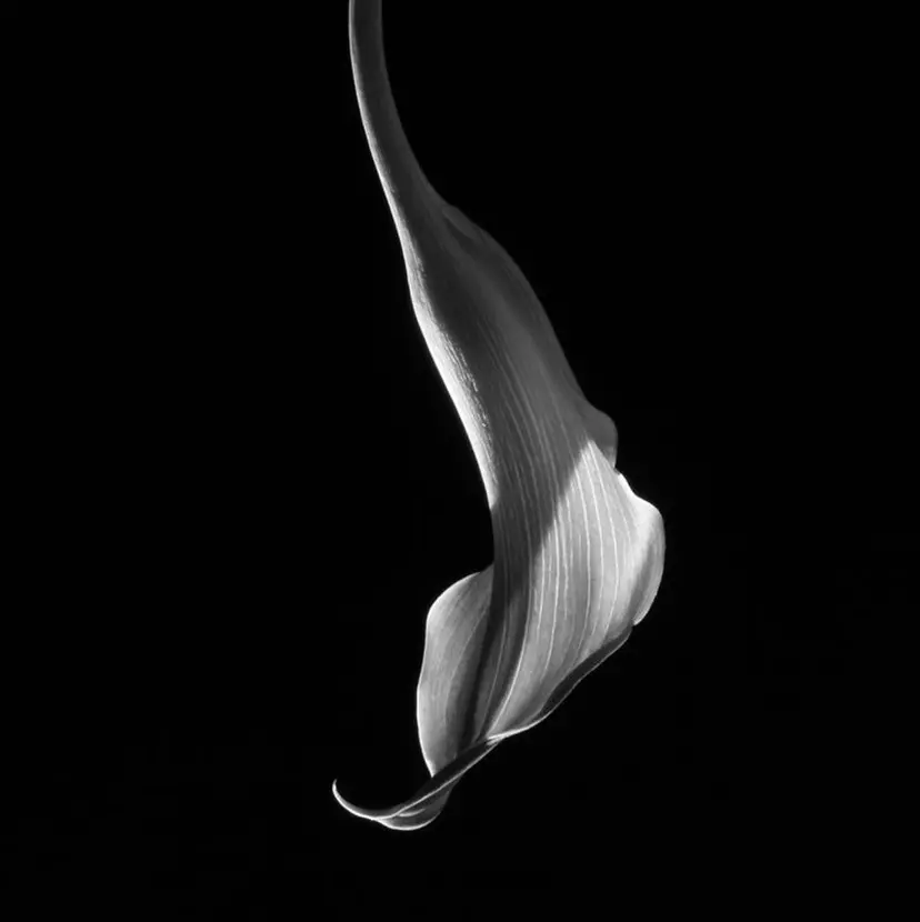 ︎︎ yoshikiの掲載