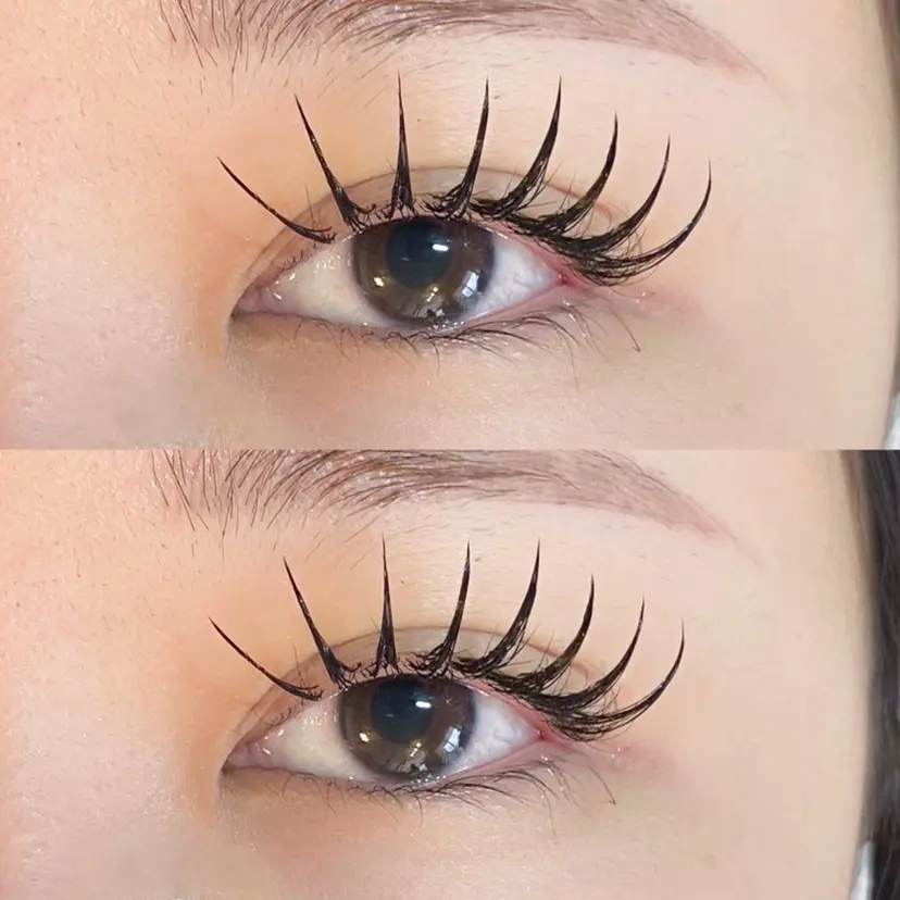 🦋ROAR🦋 yukiの掲載