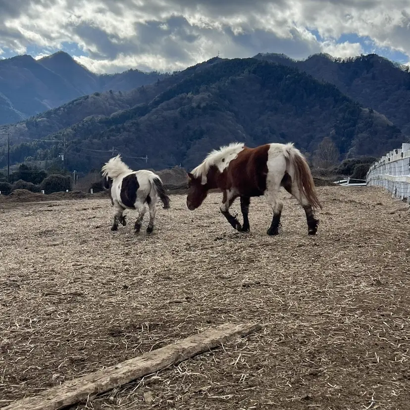 パーマ🌀 メンズスタイルゆうなの掲載