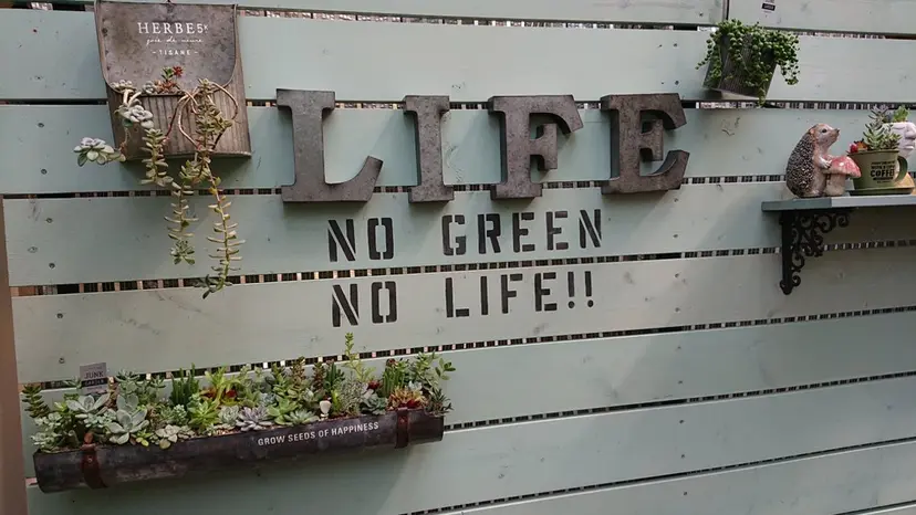 feliz salonの掲載