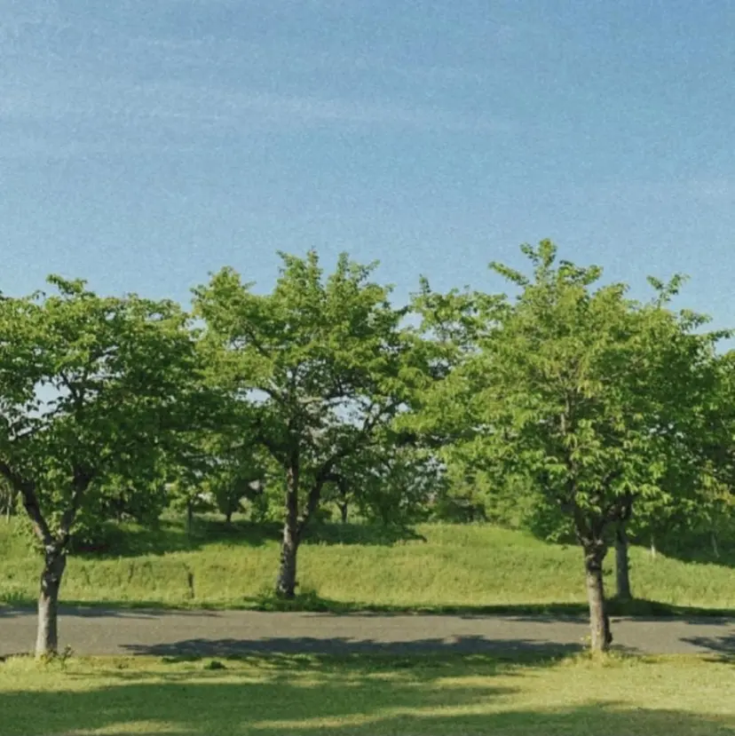 アンソメット .の掲載