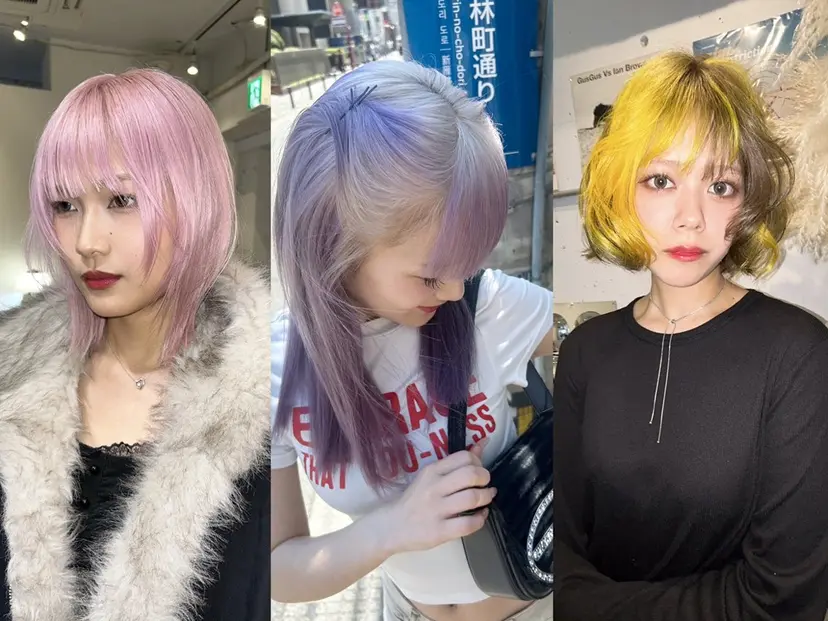 綺星 ハイトーン/デザインの掲載