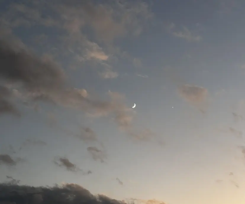 The coast / momokaの掲載