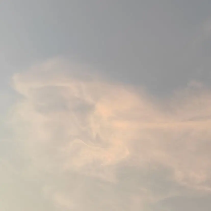 小西 由季乃の掲載