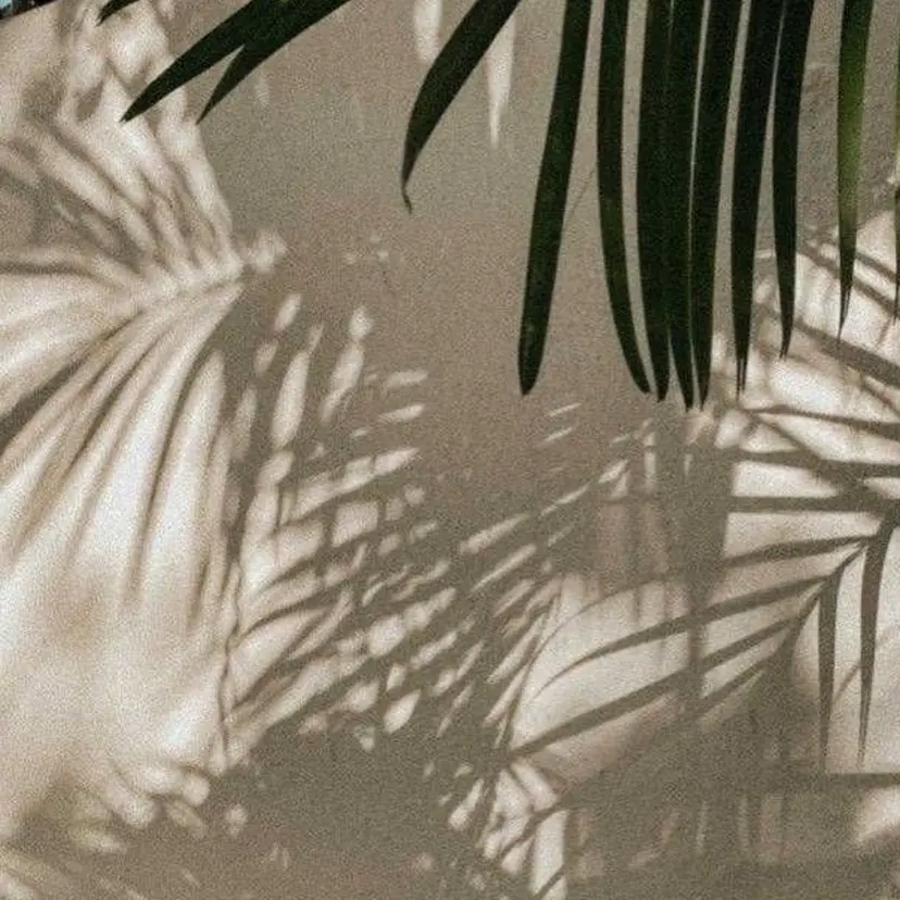 🌺🌴N. Rita🥥の掲載