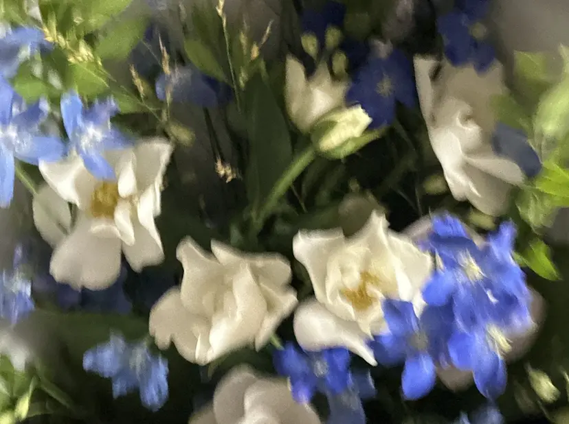 佐々木 絢の掲載