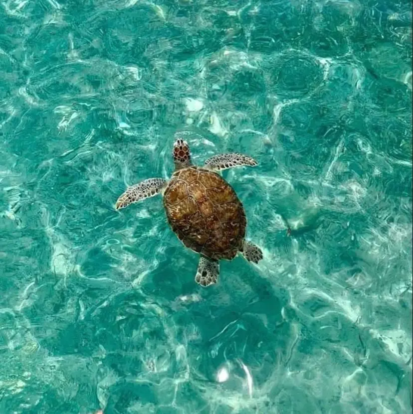 LuLu／暖色カラー 🌺URUHA🌺の掲載