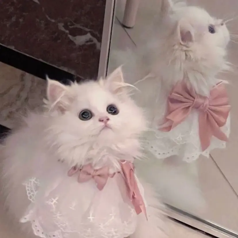 森 ひなのの掲載