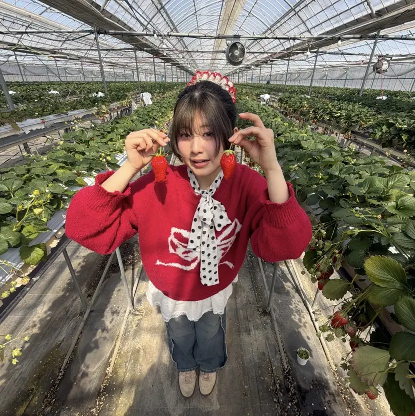 衛藤 知寿の掲載