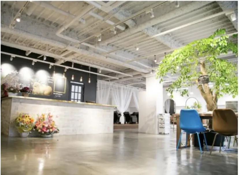 橋本 芽衣の掲載