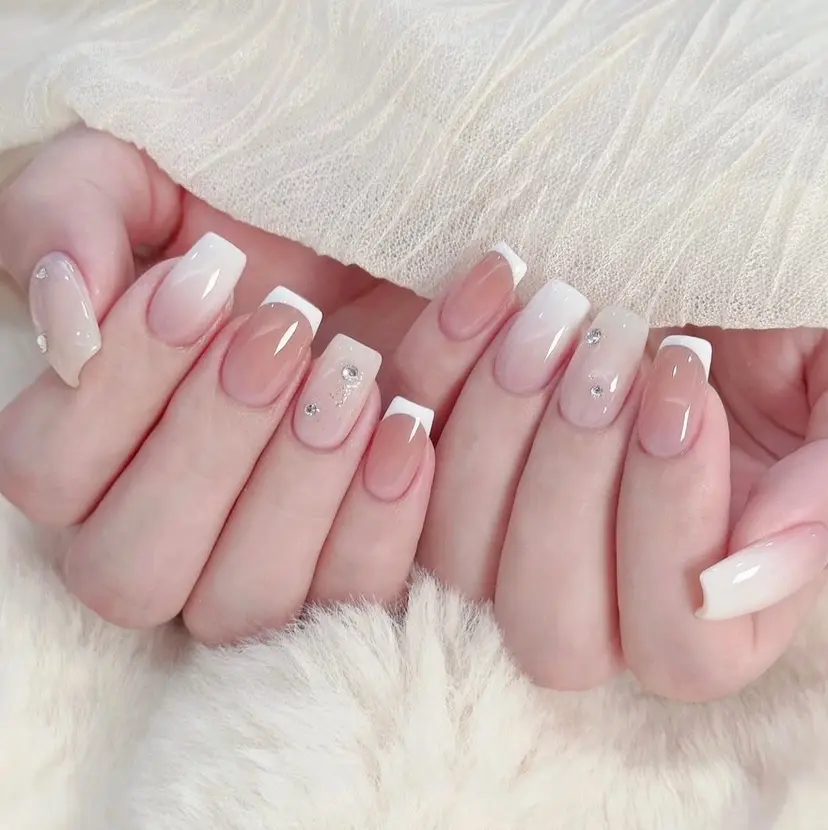 チョウ Rachaelの掲載