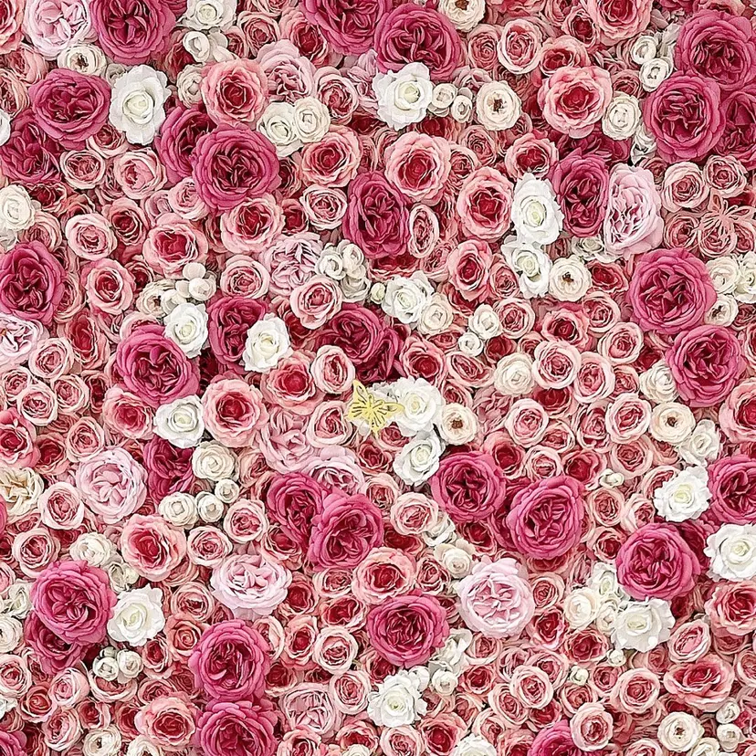 イメコンサロン cherie🍒の掲載