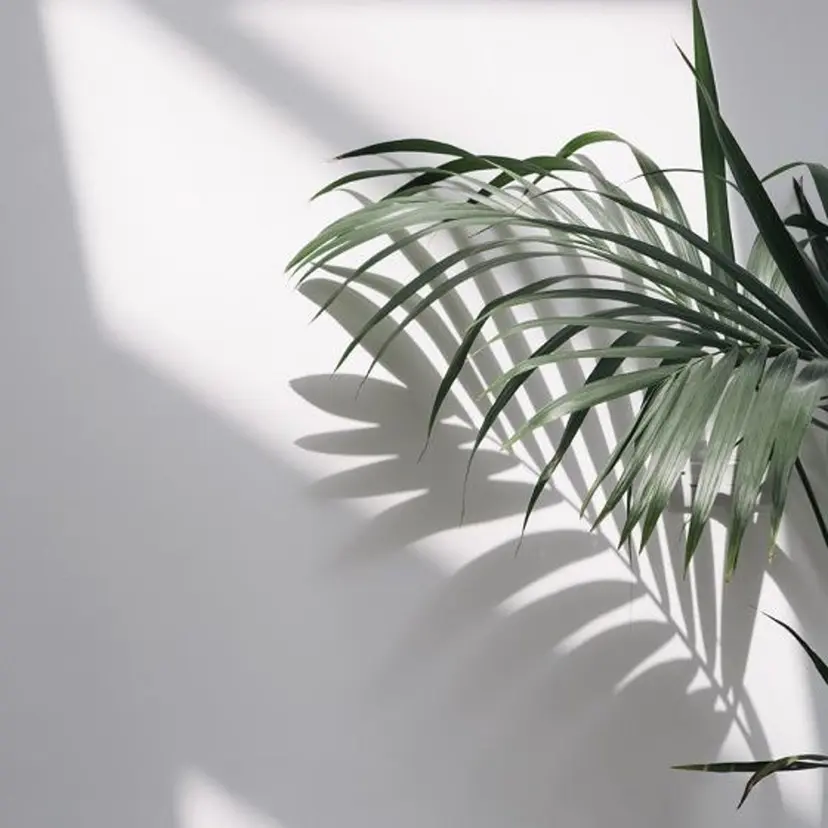 肌質改善／痩身専門店 ／産後や加齢など🌴の掲載