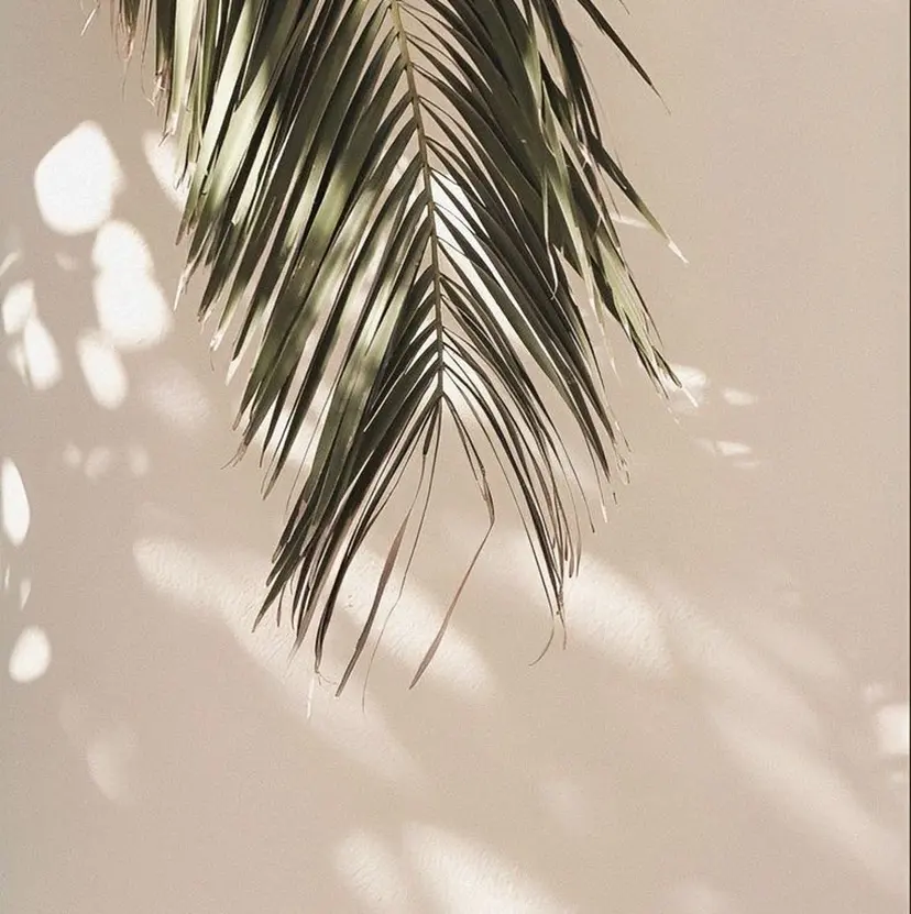 初カラー/透け感 カラー/neneの掲載