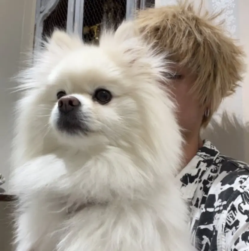 masa 心斎橋　美容室の掲載