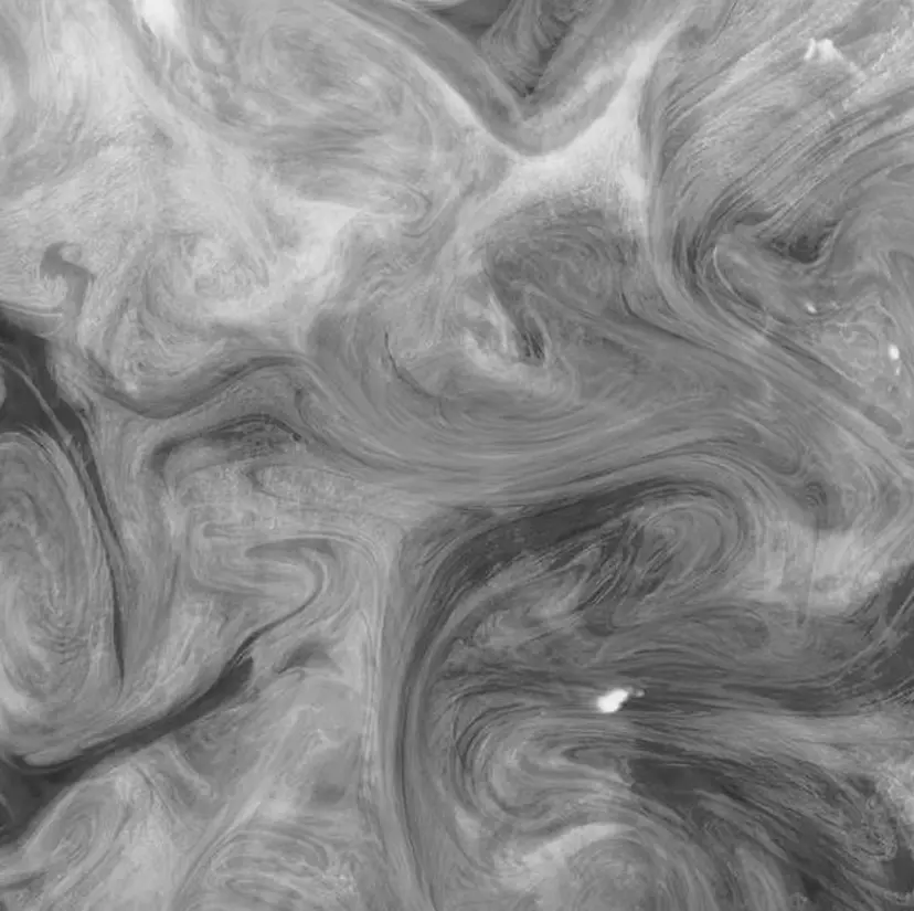 瓦井 沙奈の掲載