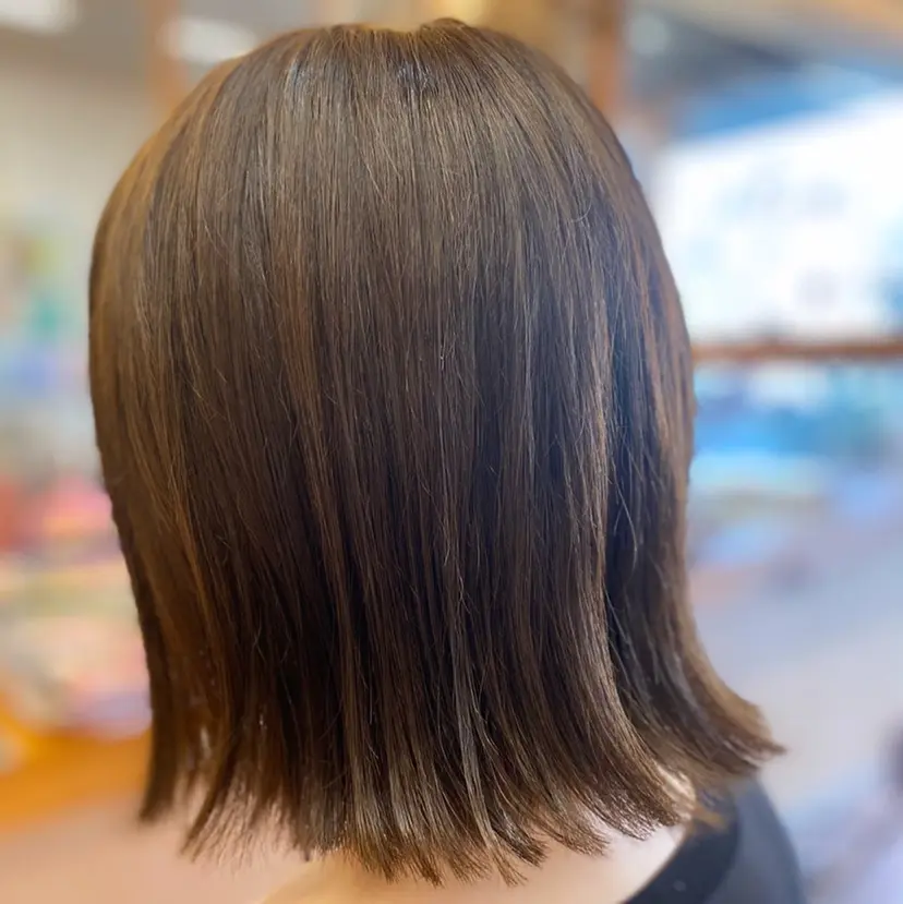 岡 慎太郎の掲載