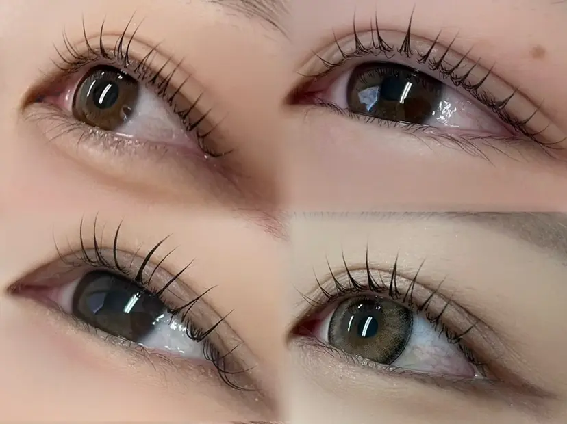 shucre Miyazakiの掲載