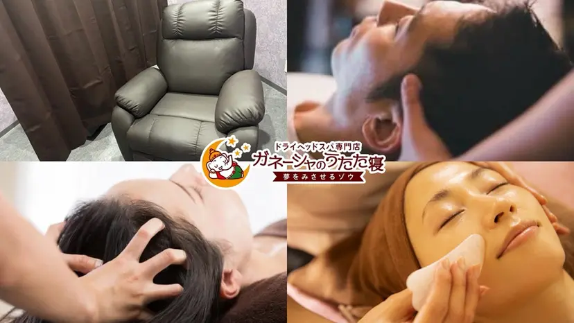 寺谷 七星の掲載