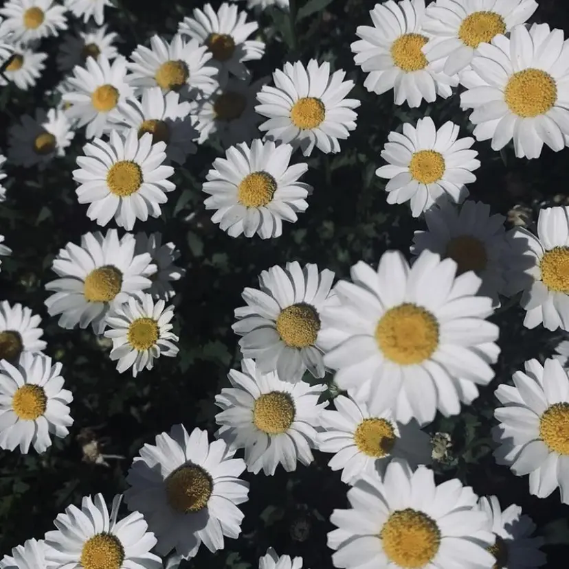 後藤 陽花子の掲載