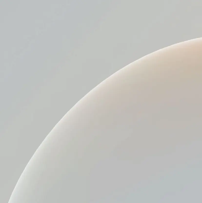 稲田 萌絵の掲載