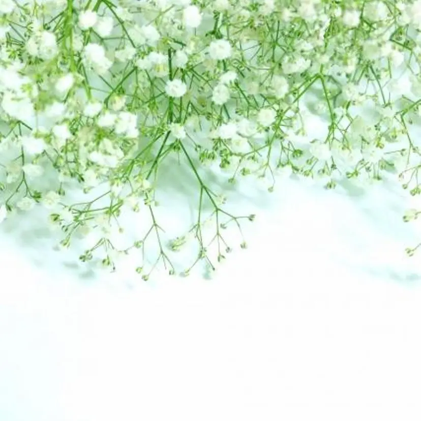 🍑uchida momoka🍑の掲載