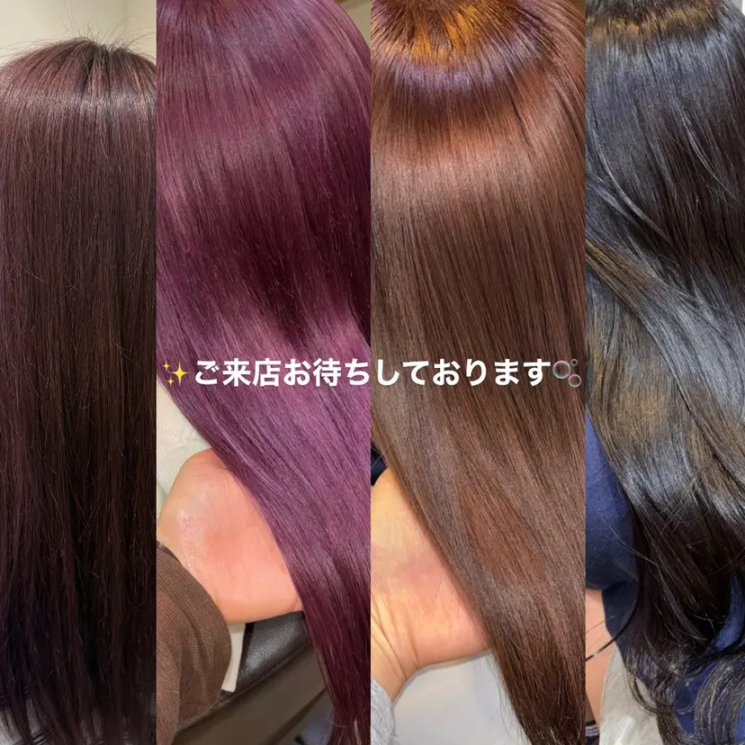 ラファエル シャミラの掲載