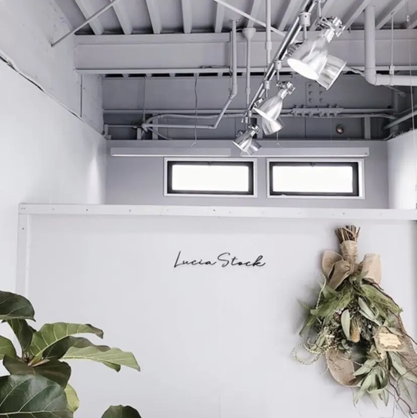 Lucia 松嶋の掲載