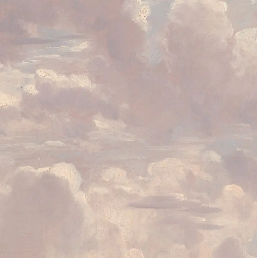 bunny eyes 小島の掲載