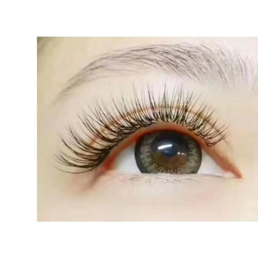 Bella ベッラの掲載