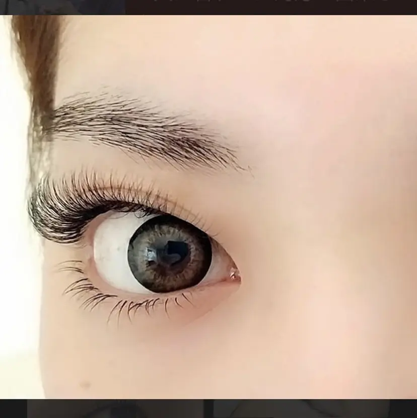 成島 優子の掲載