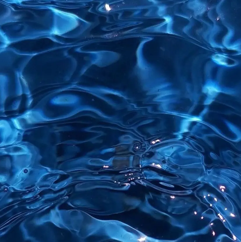 kairi Toyvenailの掲載