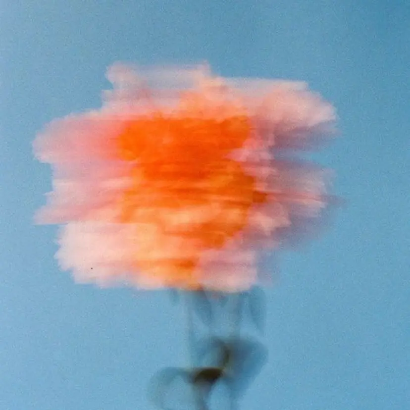 ショートカット/ ベージュ/moekaの掲載