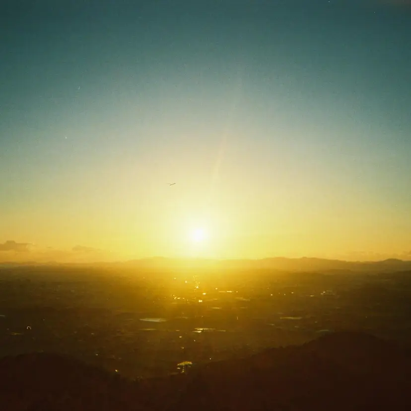 Terve.野崎 真里奈の掲載