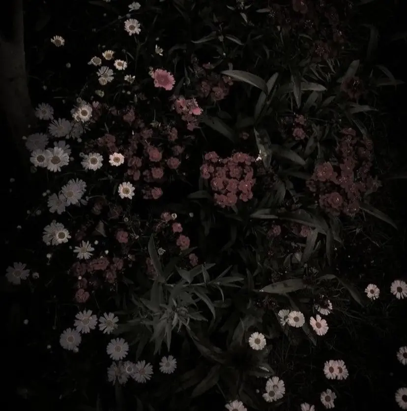 小林 うたの掲載