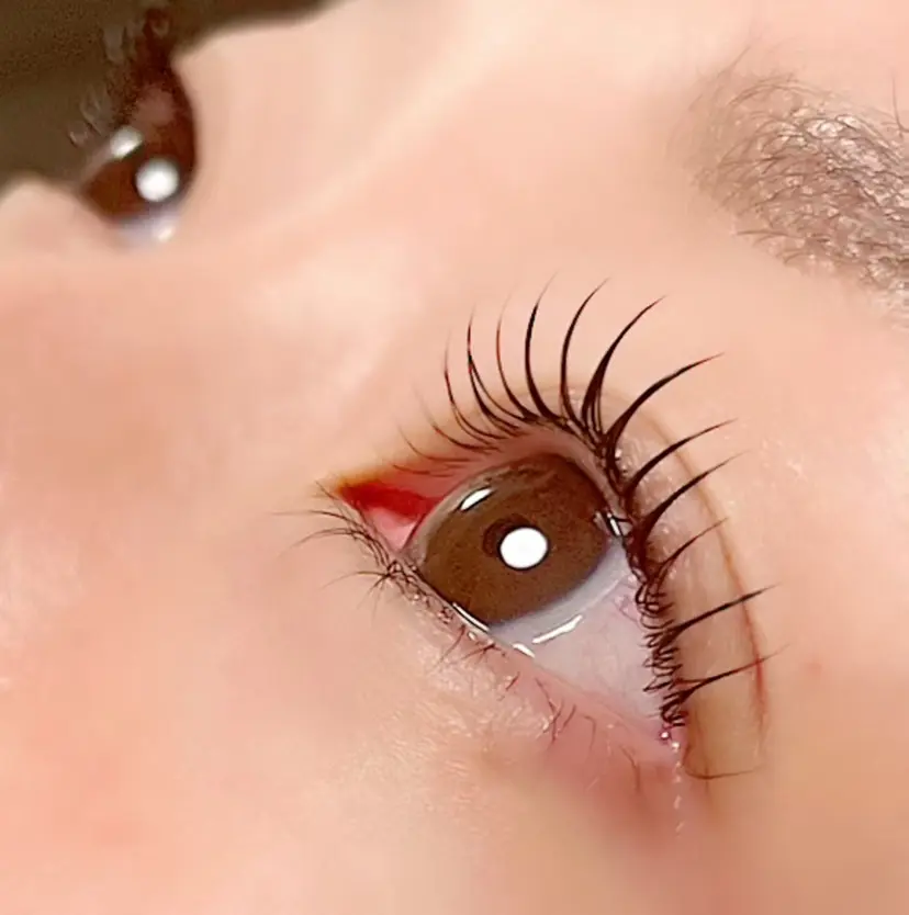 🎀自由が丘🎀 Lapuの掲載