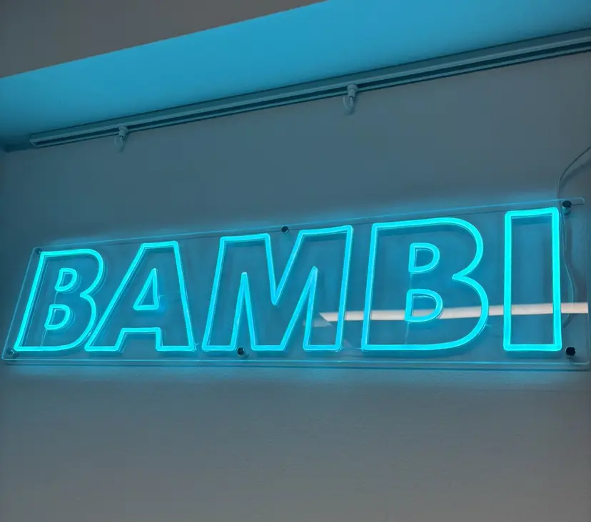 BAMBI 🦋RAMU🦋の掲載