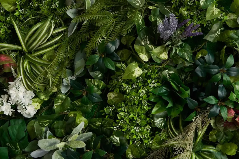 室谷 真衣の掲載