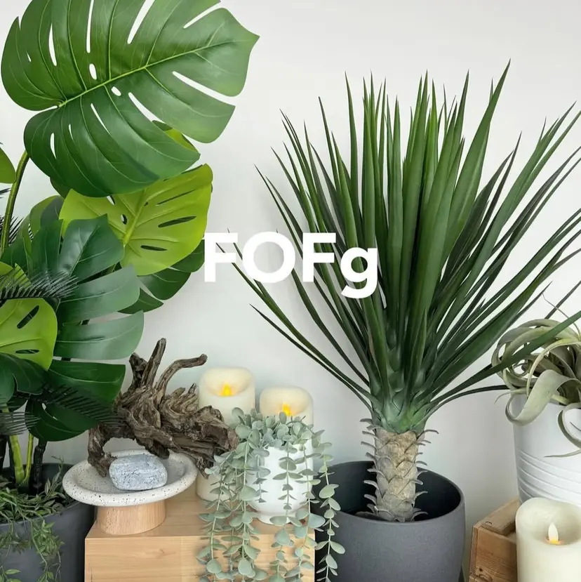 太田 海萌の掲載