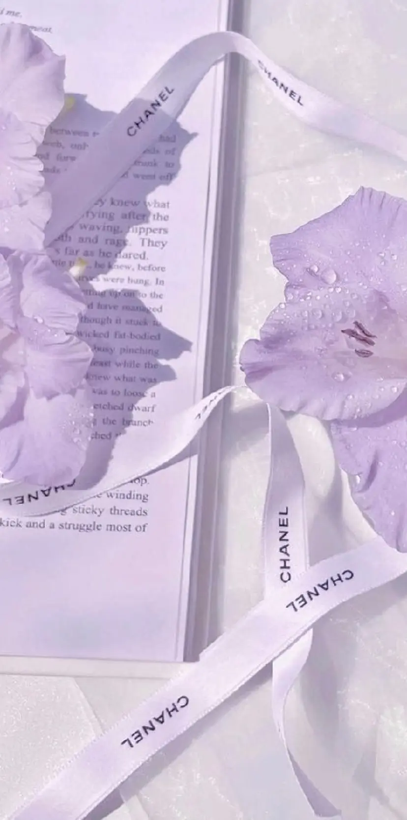 HIME. ＊*ヒメドットの掲載