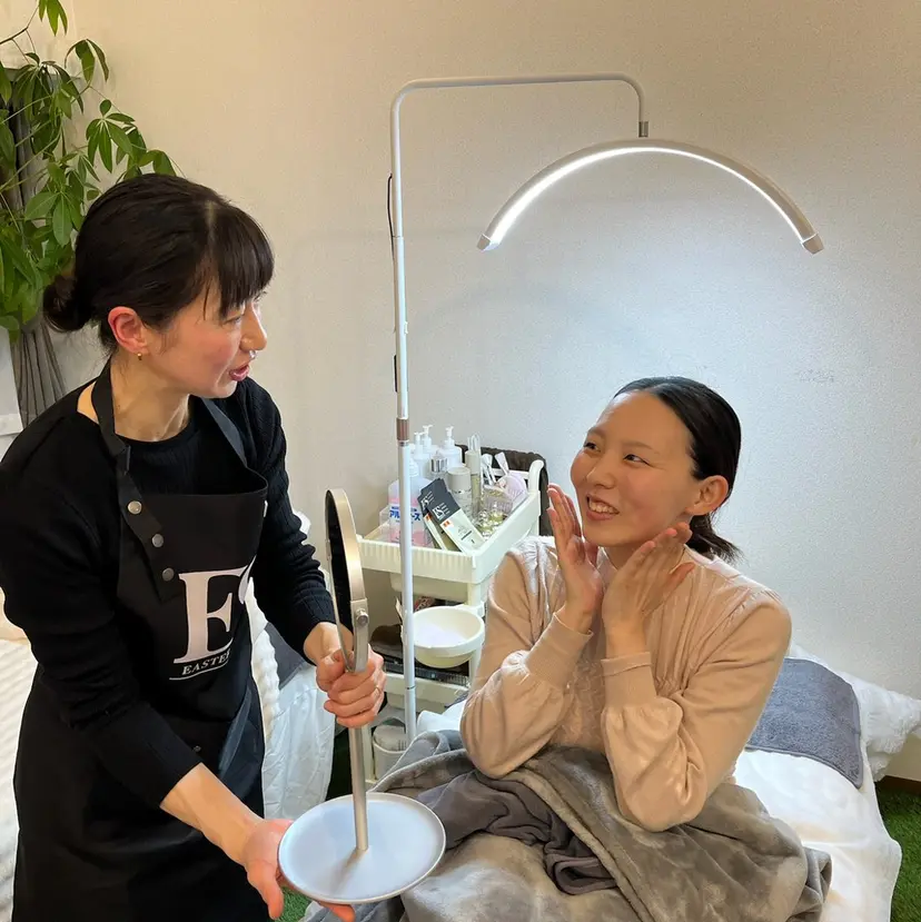 esV10 日本総代理店の掲載