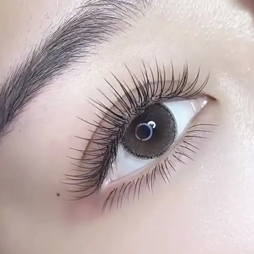 Z TTまつげネイルの掲載