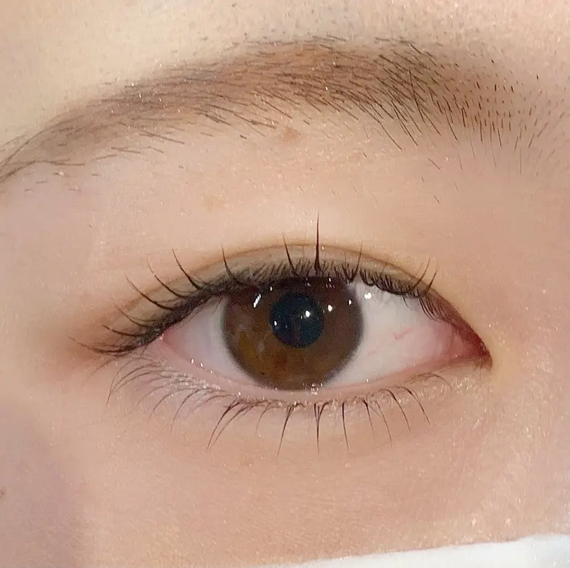 EYESTYLE IYOの掲載