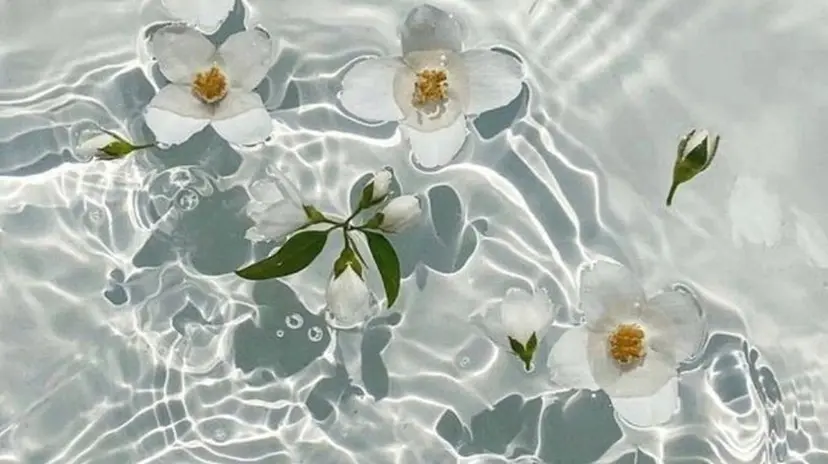 ♡アイブロウ/マツパ /マツエク/emi♡の掲載