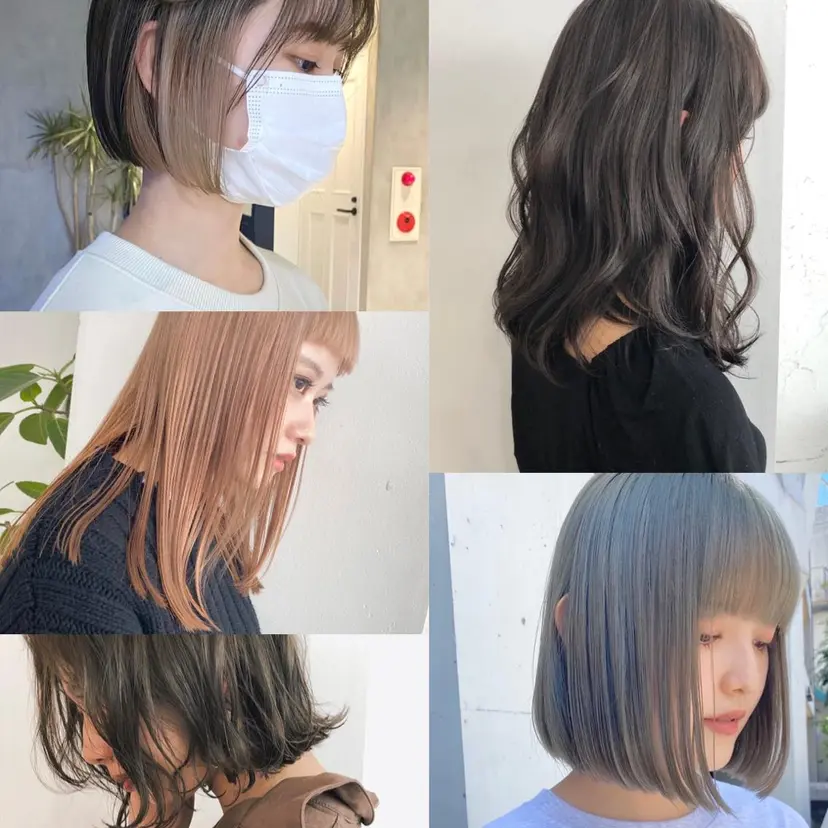 ✨️🧸elima調 布Reika🧸✨️の掲載