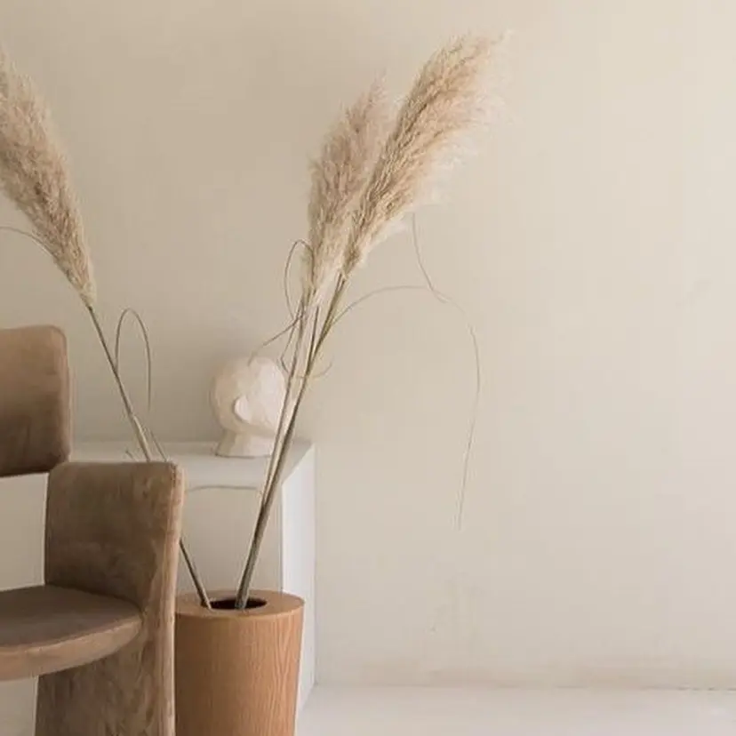 MISATO THIRD SHOPの掲載