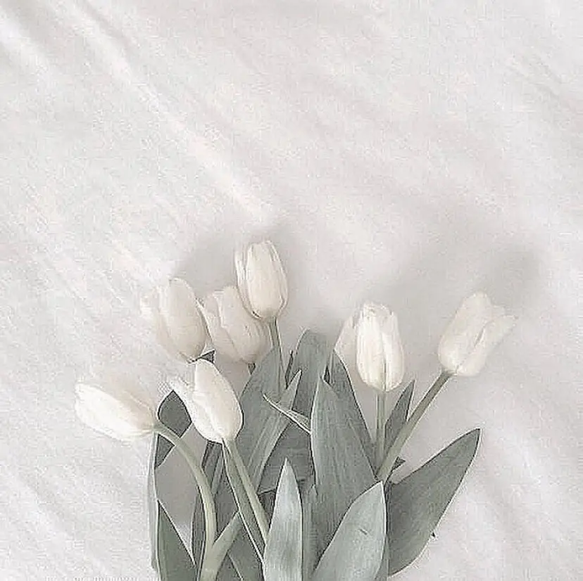 ロコラッシュ新宿東口 井上の掲載