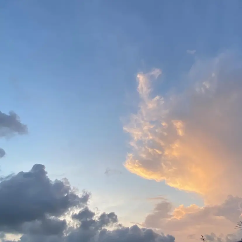 竹内 優来の掲載