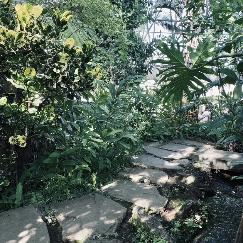 岩井 柚樹の掲載